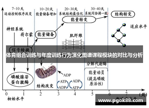体育组合训练与年度训练行为演化图谱课程模块的对比与分析