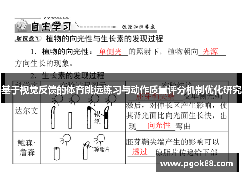 基于视觉反馈的体育跳远练习与动作质量评分机制优化研究